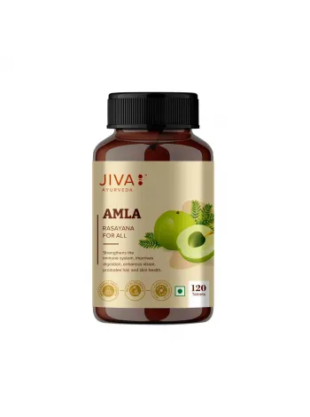 Амла, антиоксидант, 120 таблеток, Джива Аюрведа; Amla 120 Tablets, Jiva Ayurveda